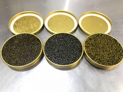Caviar Vacuum Packing Machine for Tins