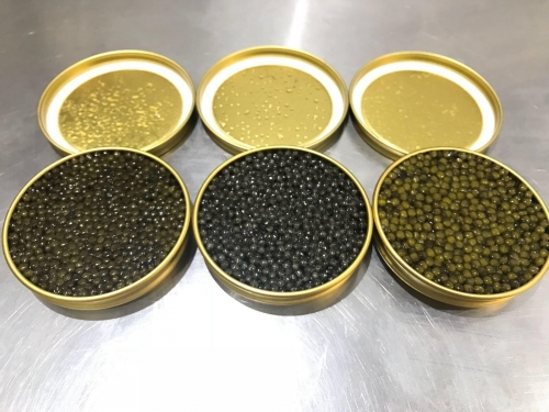 Caviar Vacuum Packing Machine for Tins