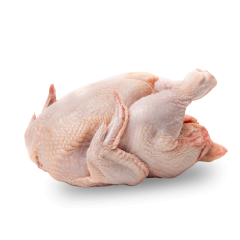 tabletop whole bird bagger
