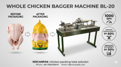 Semi-automatic bagger machine